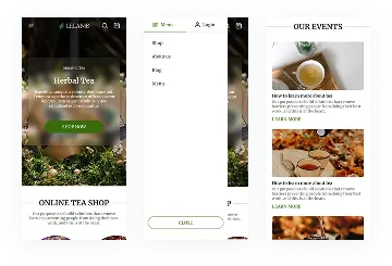 No mobile-friendly structure (despite over 70% of traffic coming from mobile): The previous website was not optimized for mobile and had poor layout scaling across different screen sizes. Key issues included overlapping images, unreadable text, confusing menus, and hard-to-use Add to Cart buttons.  mobile